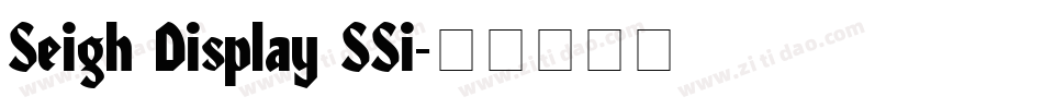 Seigh Display SSi字体转换
